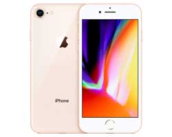 Discover the premier Apple iPhone 8 service center in Chennai. Our expert technicians provide top-notch repairs and support for your Apple iPhone 8. Visit us for swift and reliable service!.